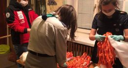 Harcerze i ratownicy wodni apelują o wsparcie. Potrzebne materiały do szycia maseczek i paliwo.