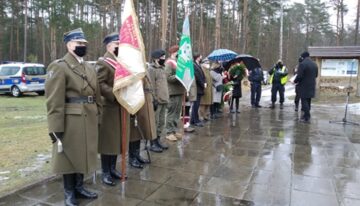 Służba w Palmirach